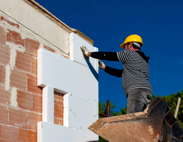 Insulation for Commercial Buildings in La Joya, TX