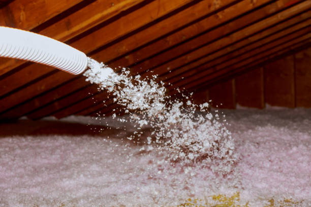 Best Local Insulation Services  in La Joya, TX