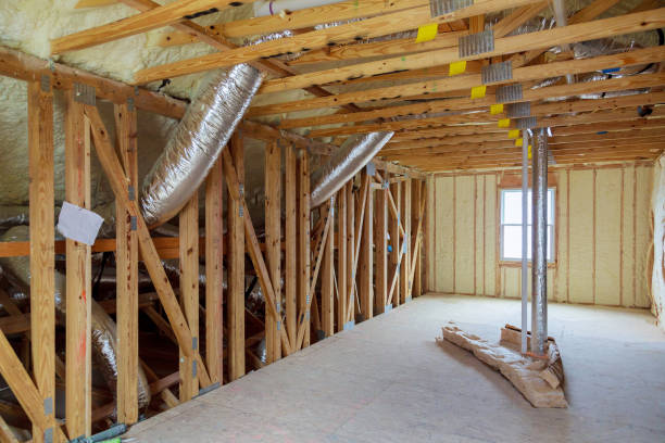 Best Attic Insulation Installation  in La Joya, TX