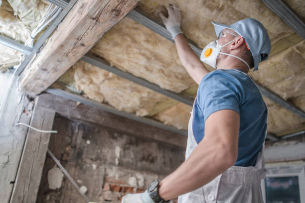 Best Insulation Installation Cost  in La Joya, TX