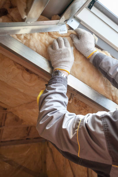 Best Best Insulation Companies  in La Joya, TX