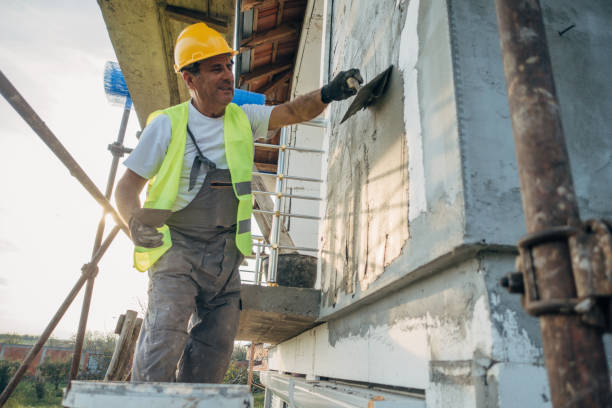 Best Garage Insulation Installation  in La Joya, TX