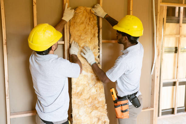 Insulation Replacement Services in La Joya, TX