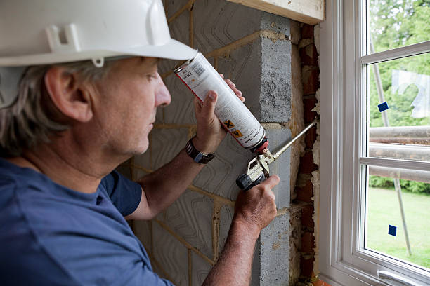 Best Attic Insulation Installation  in La Joya, TX