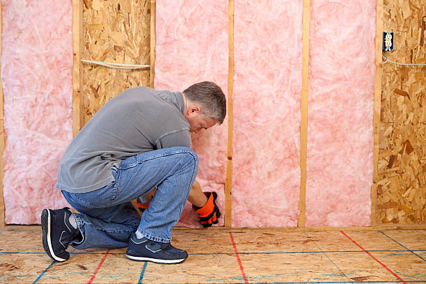 Best Insulation Repair Services  in La Joya, TX