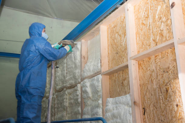 Best Energy-efficient Insulation  in La Joya, TX