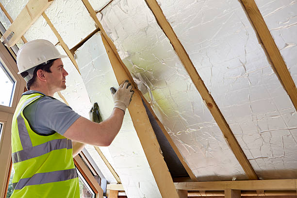 Best Insulation Inspection Services  in La Joya, TX